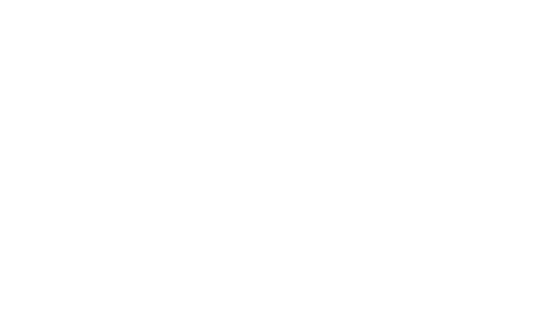 RK Pivot Doors Exclusive Distributor